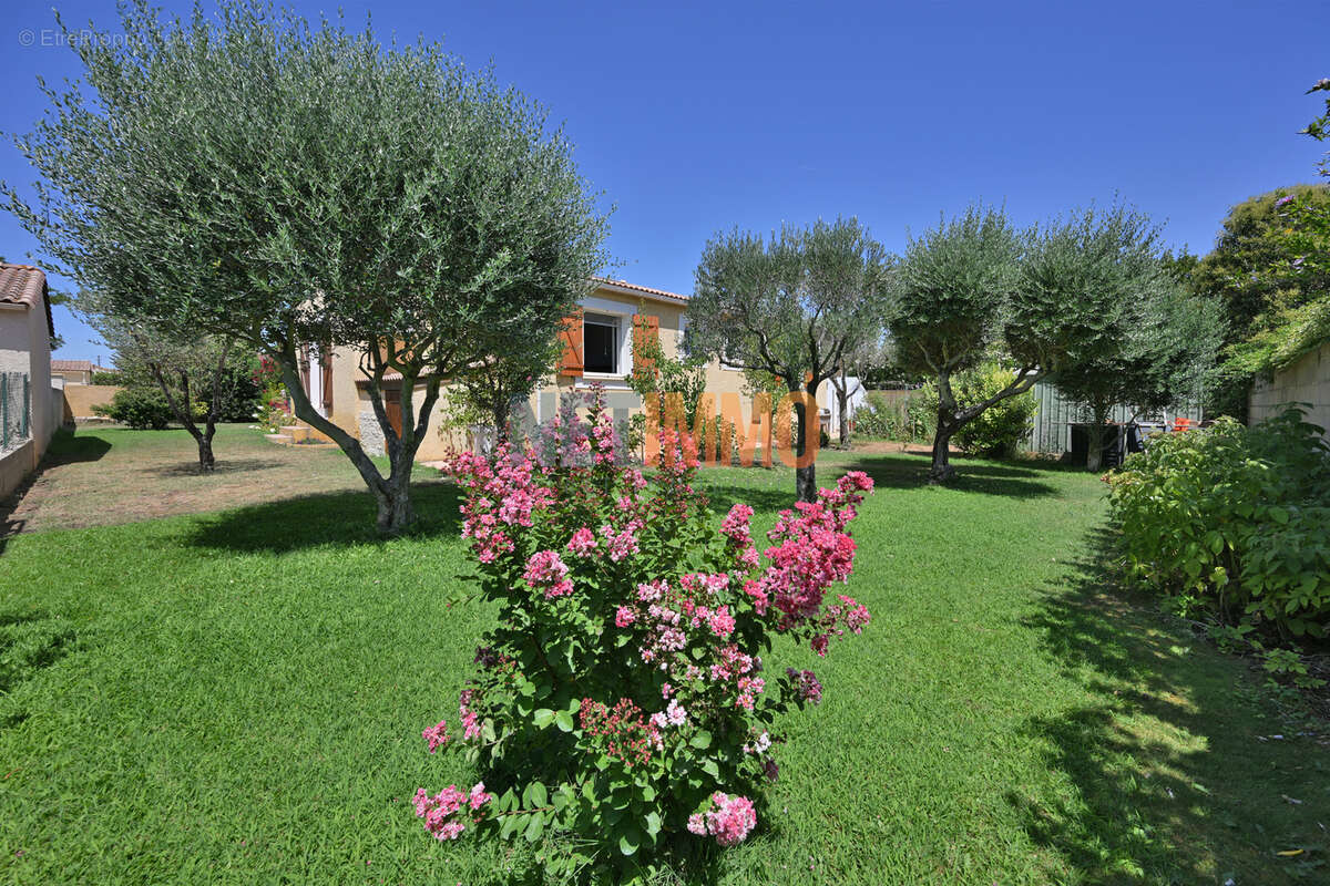 Villa plain-pied à Aimargues - photo 3