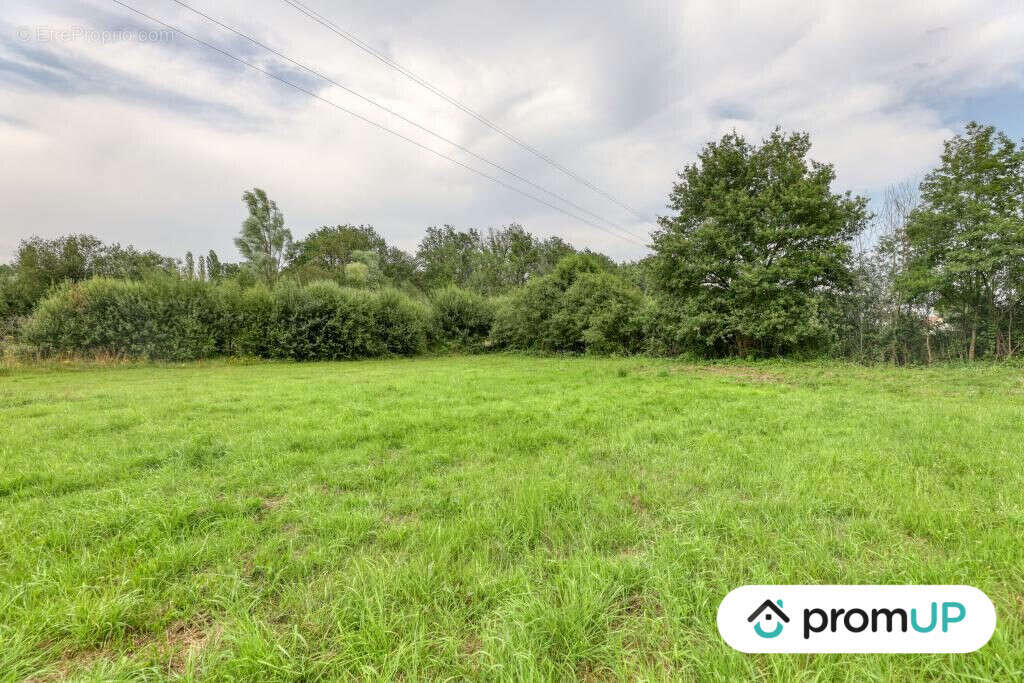 Terrain à SAINT-MARS-LA-BRIERE