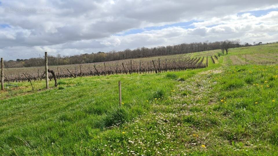 Terrain à BAIGNEAUX