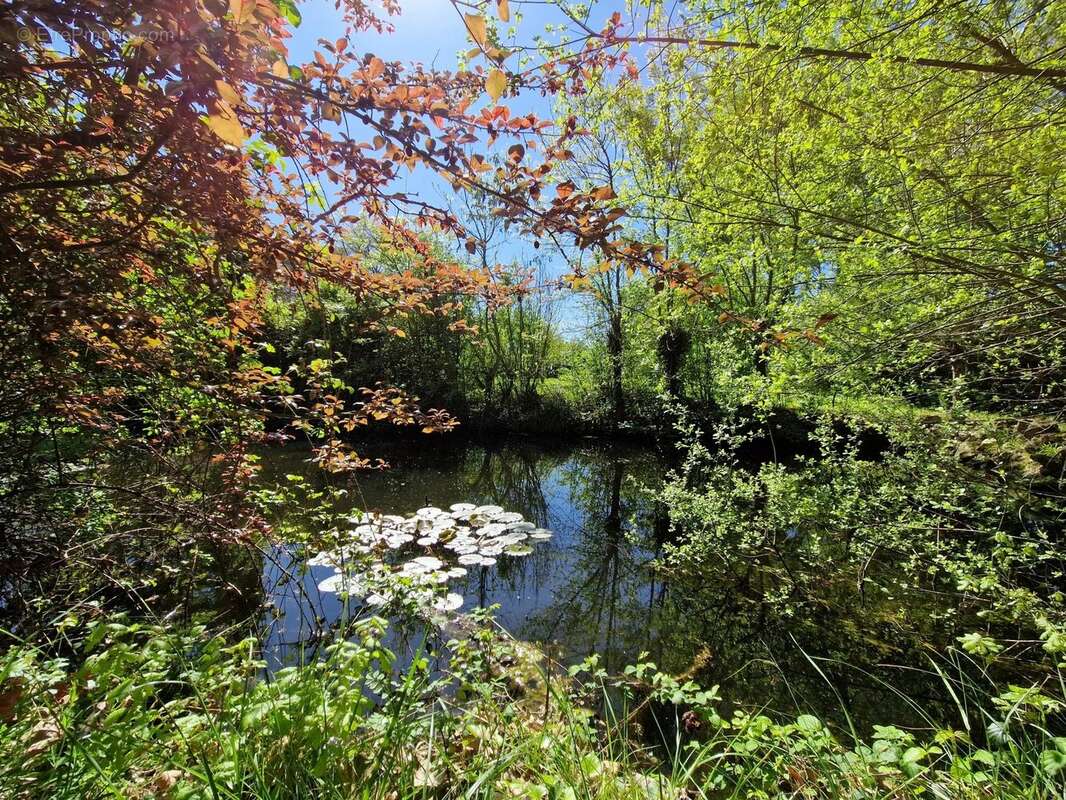 Maison à VIC-FEZENSAC