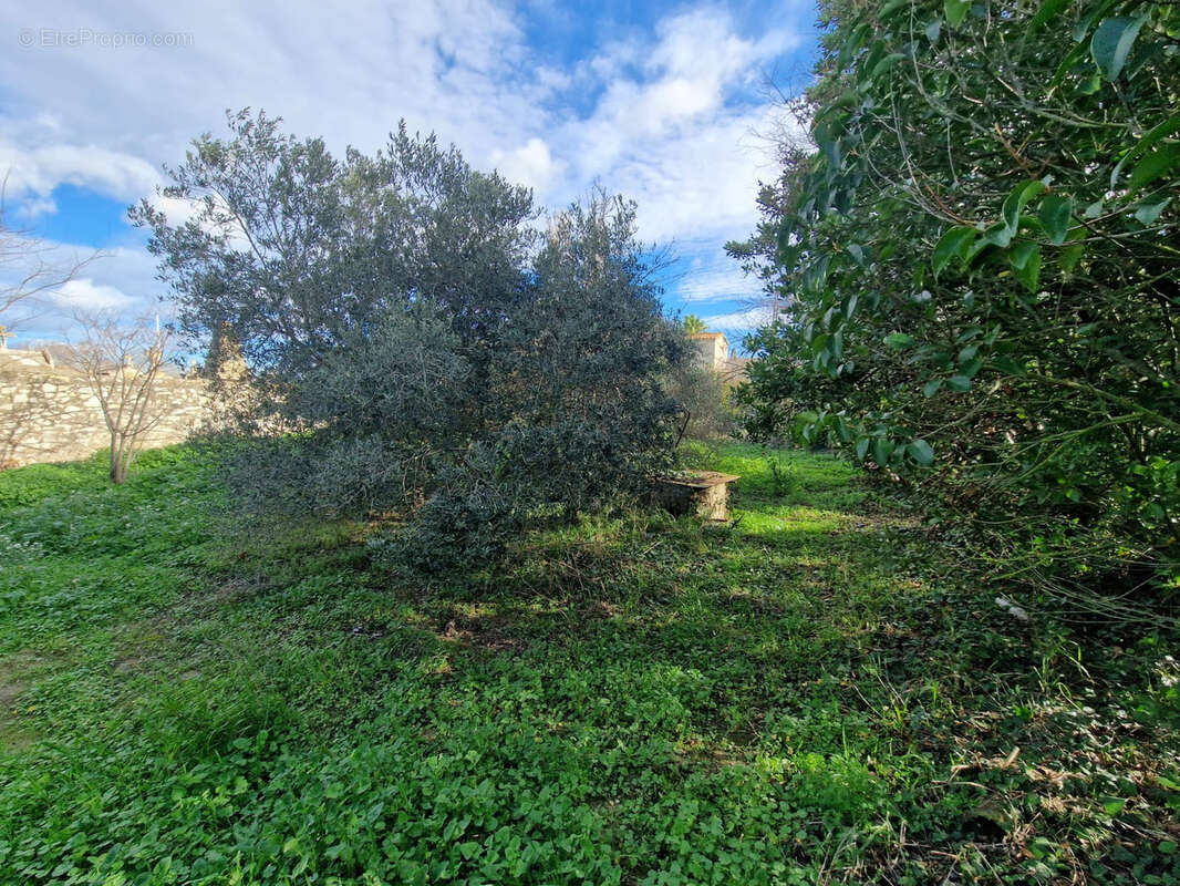 Autre à COURSAN