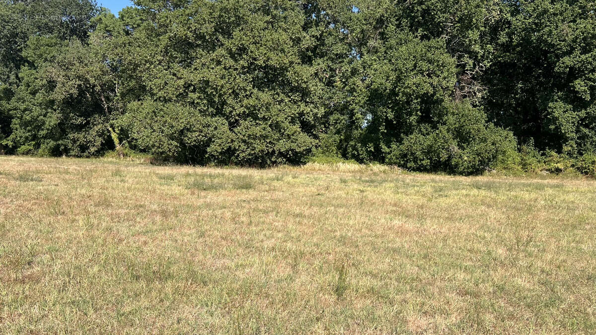 St Sulpice et Cameyrac- Propriété à rénover 300 m2 hab+ Grange sur 5 hectares - photo 15