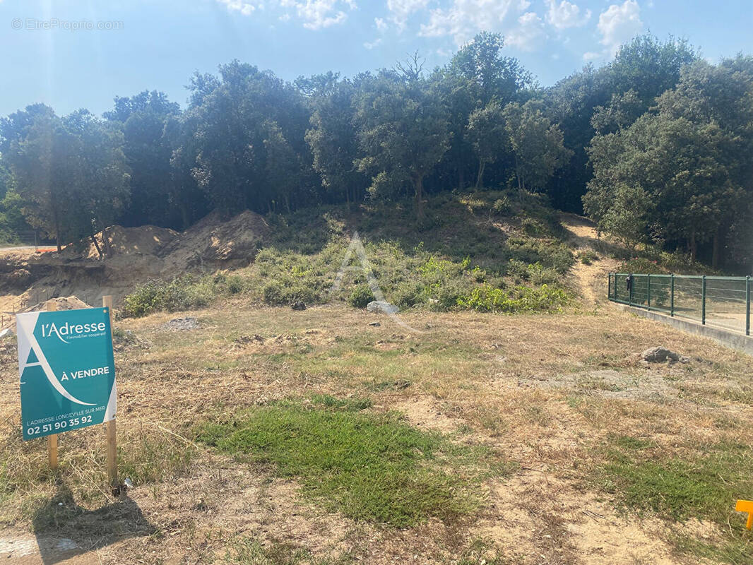 Terrain à LONGEVILLE-SUR-MER