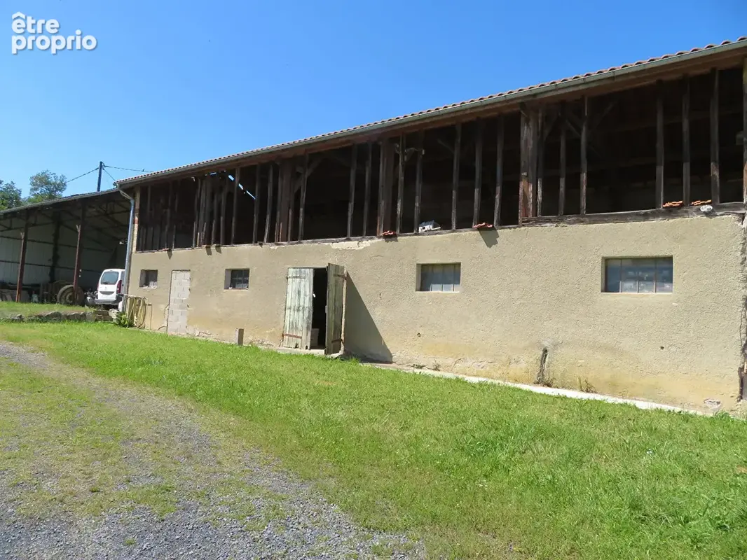 Maison Buzon 6 pièce(s) 3ha de terrain plat - photo 4
