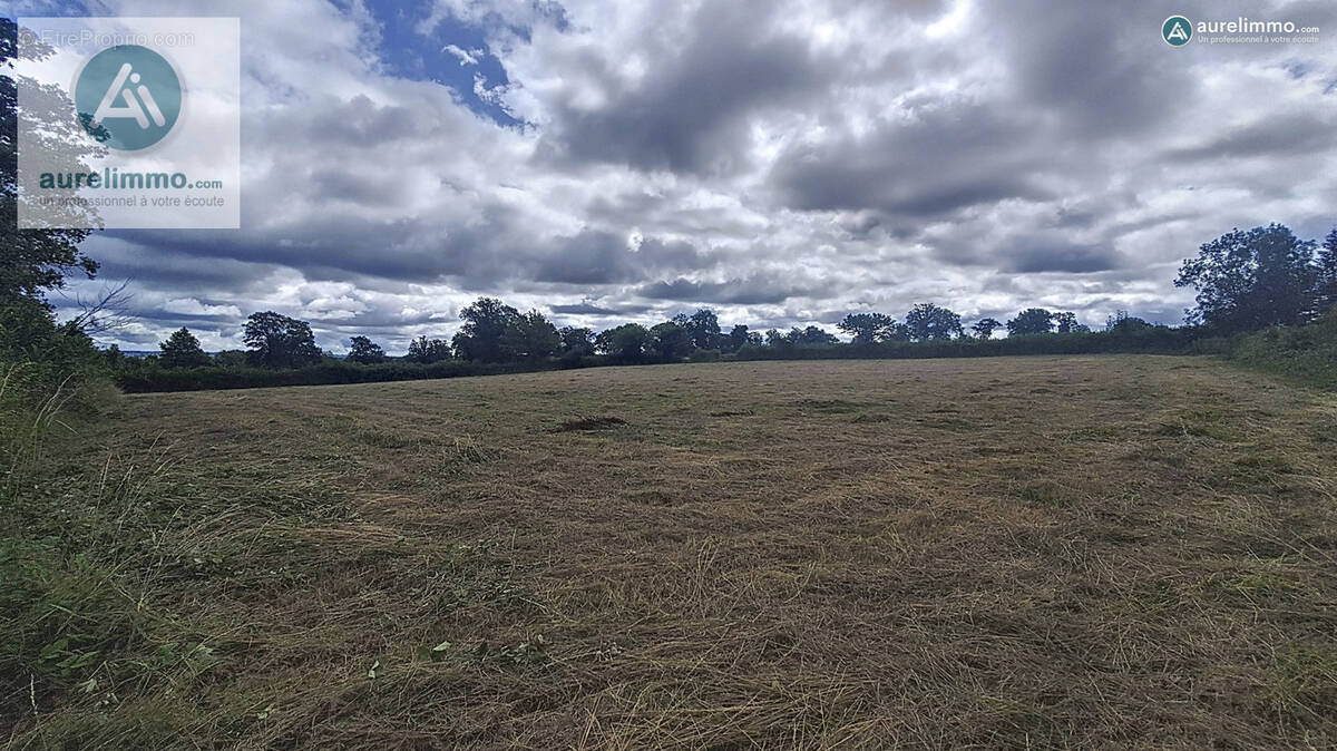 Terrain à SAINT-GENEST
