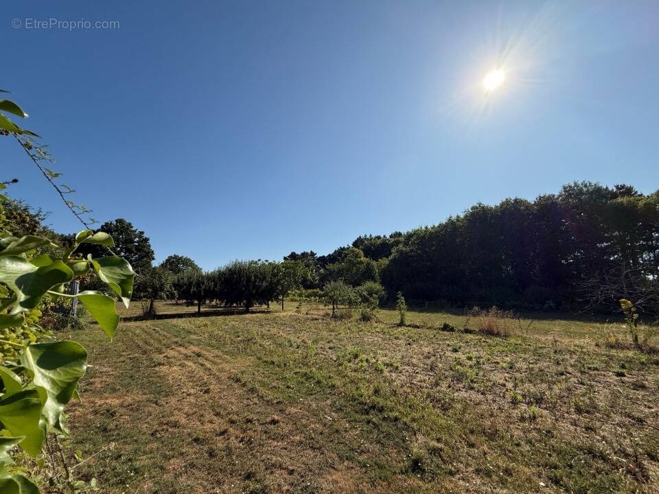 Terrain à AIZENAY