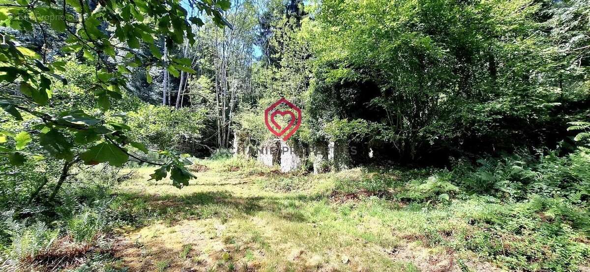 Belle demeure de caractère proche Foix - photo 26