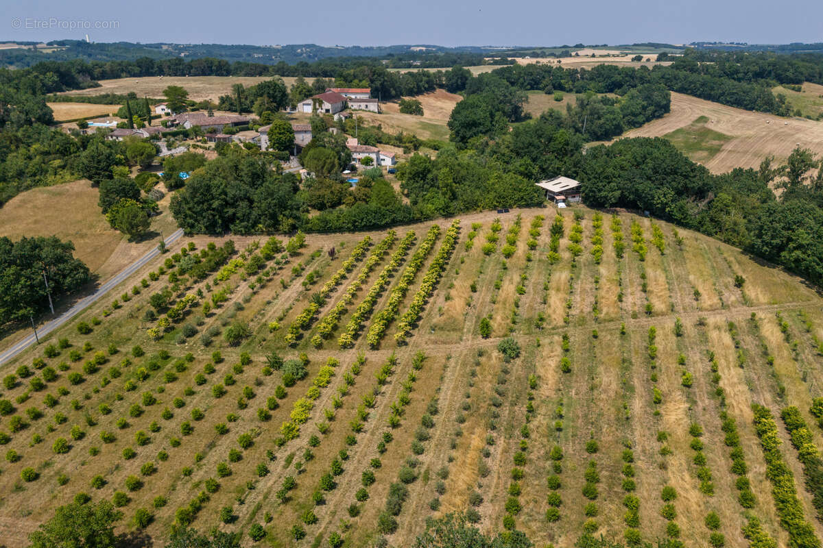 Propriété de campagne avec verger biologique - photo 3