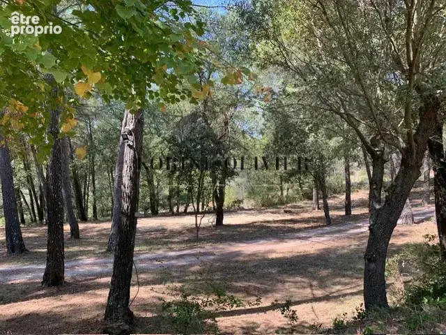 Saint paul les durance : mas provençal au calme - photo 25