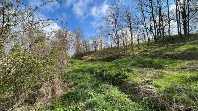 Terrain à MAINTENON