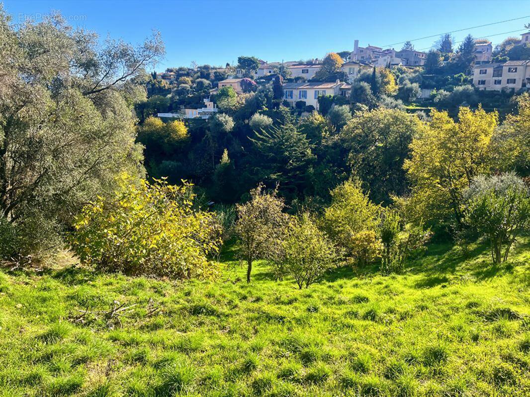 Terrain à FALICON