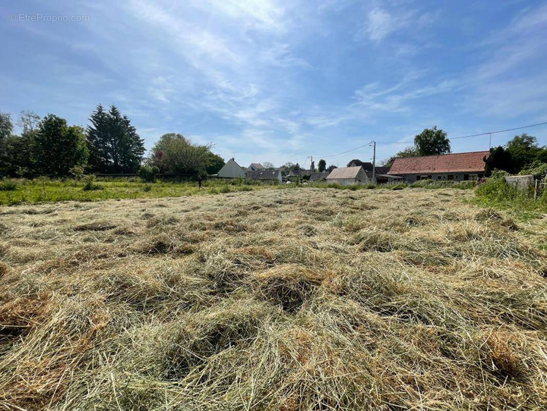 Terrain à BOURSONNE