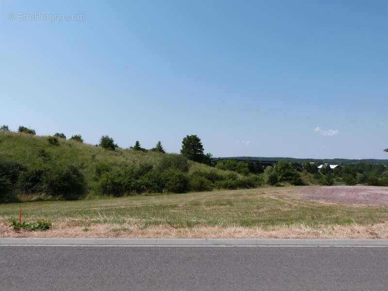 Terrain à HAMBACH