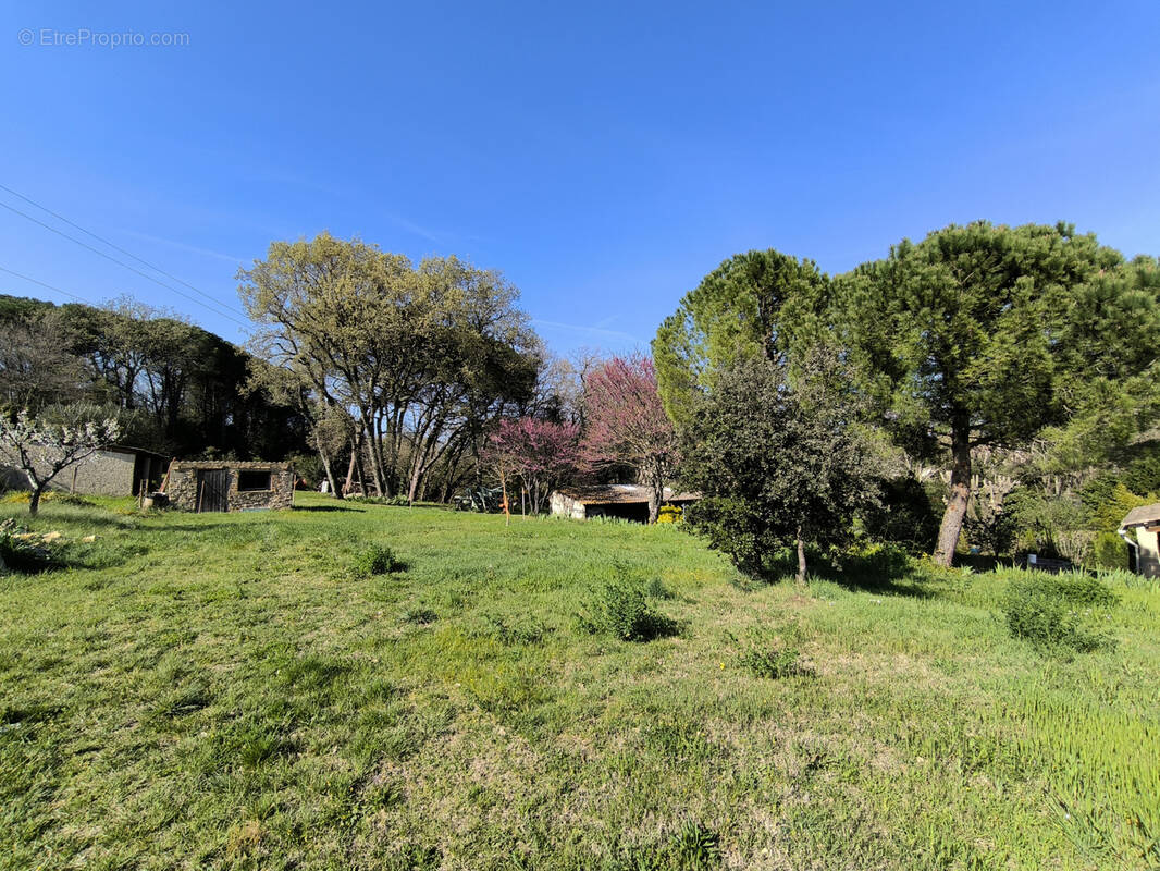 Terrain à SAINT-LAURENT-LA-VERNEDE