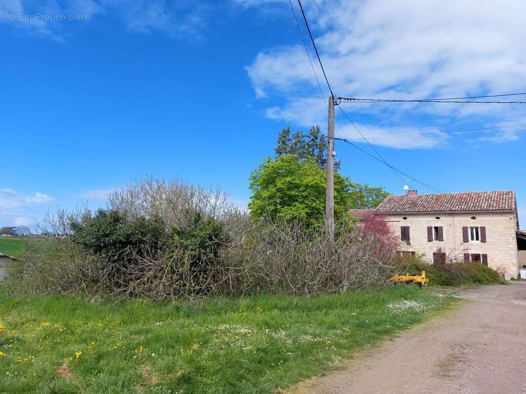 Domaine viticole bio près de Cordes-sur-Ciel - photo 13