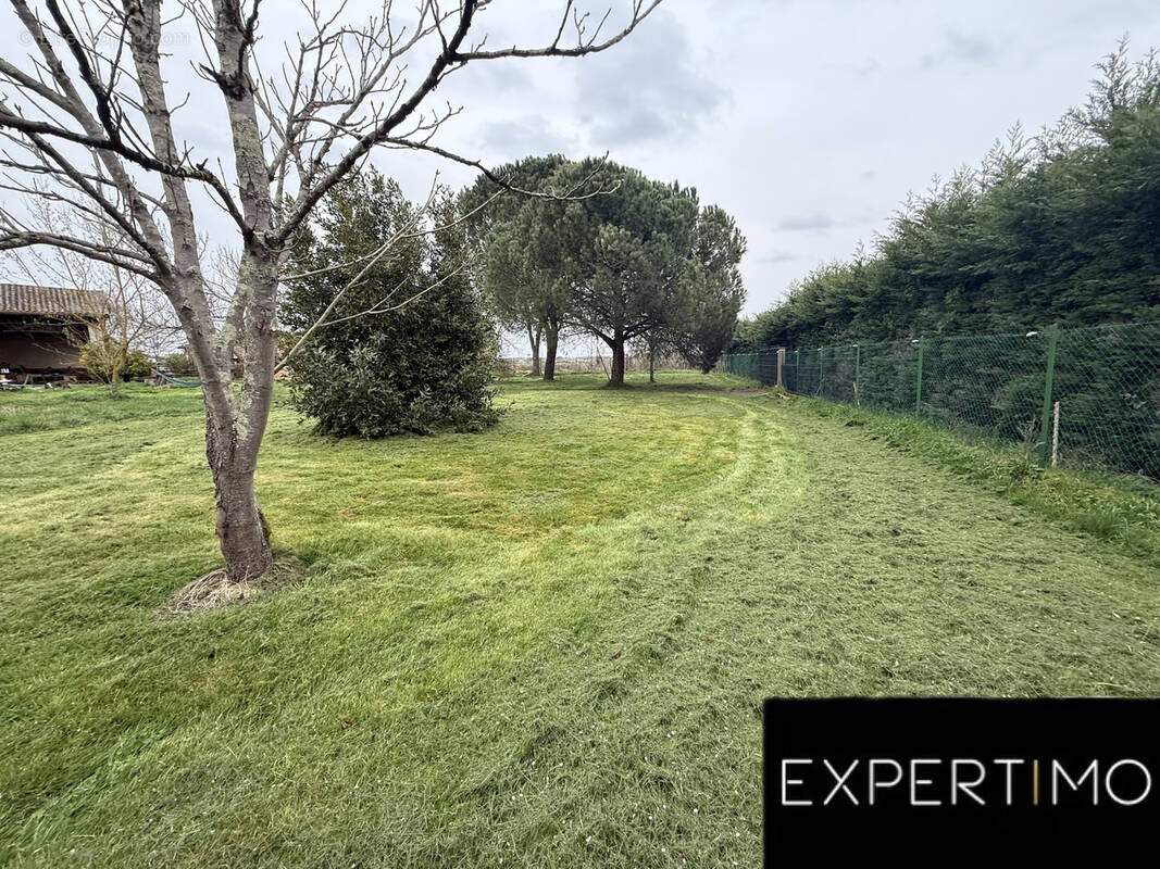 Terrain à MONTAUBAN