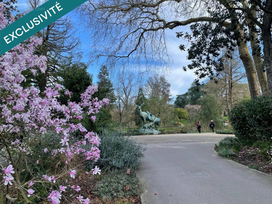 Photo 1 - Appartement à NANTES