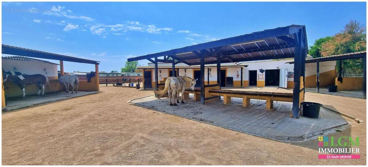 En exclusivité à vendre : RANCH - Le Grau du Roi - Terrain et infrastructure - photo 6