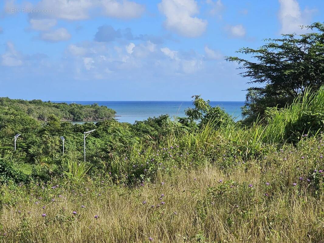 Terrain à LE DIAMANT