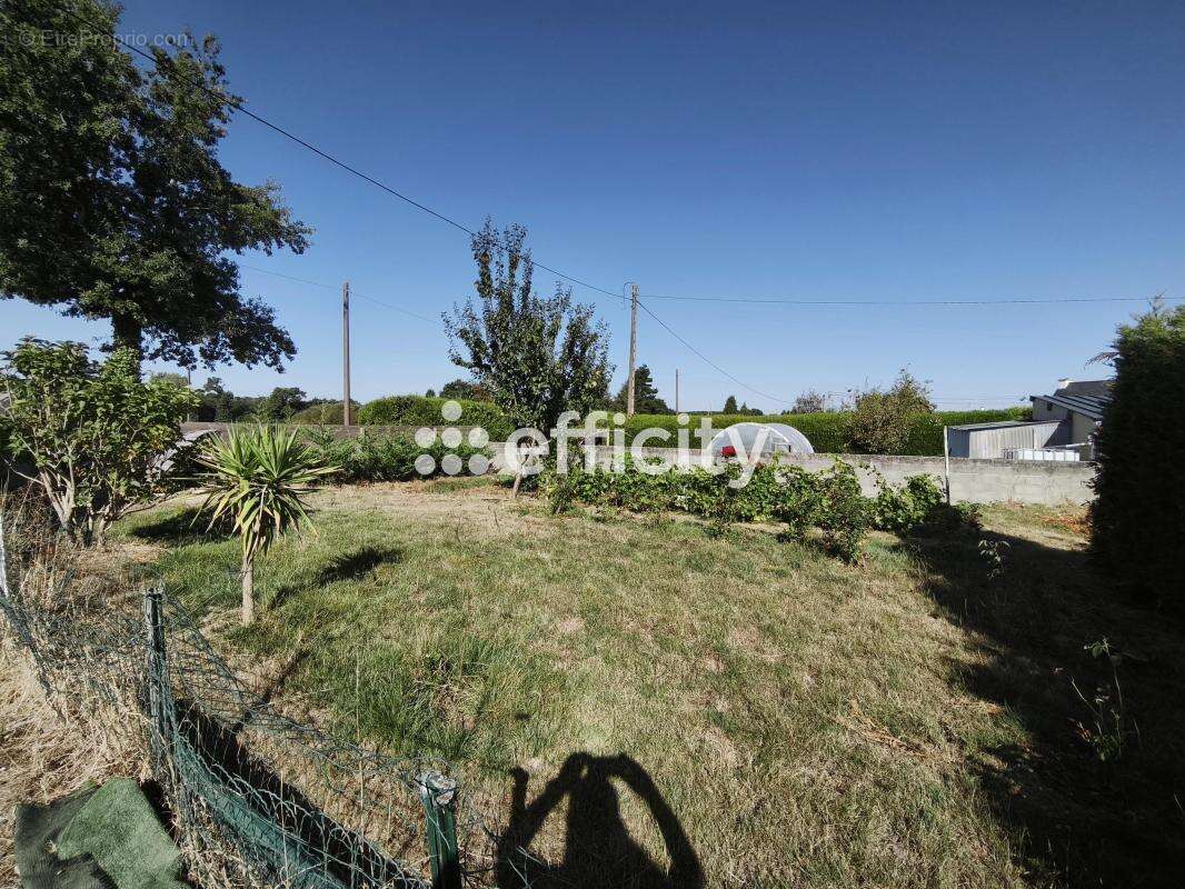 Maison 186 m² à Collinee  - photo 10