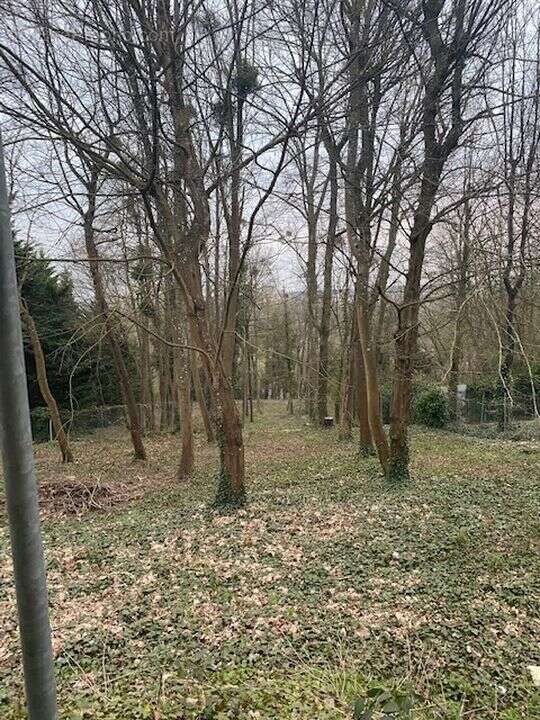 Vente d'un Terrain Constructible plus de 3000m² - photo 7