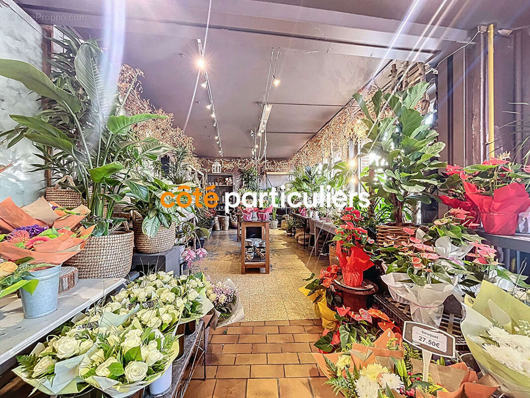 Commerce à LA CHAPELLE-D&#039;ARMENTIERES