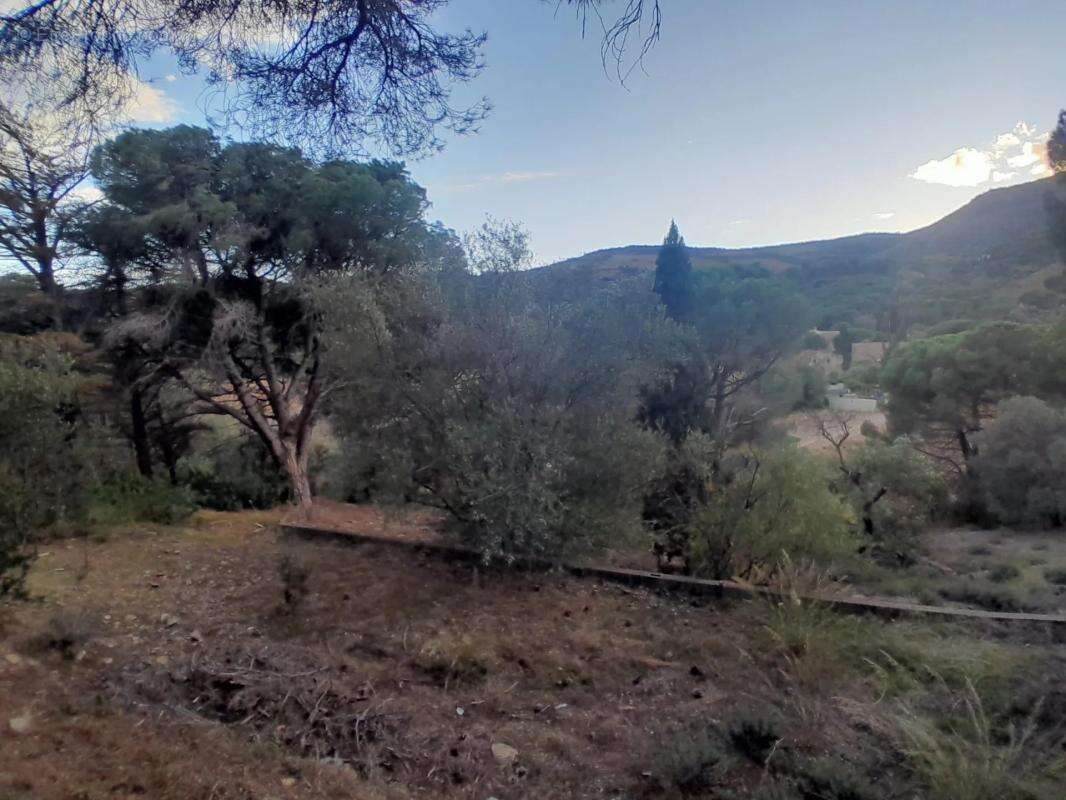 Propriété arborée avec vu panoramique sur la mer et la nature - photo 23