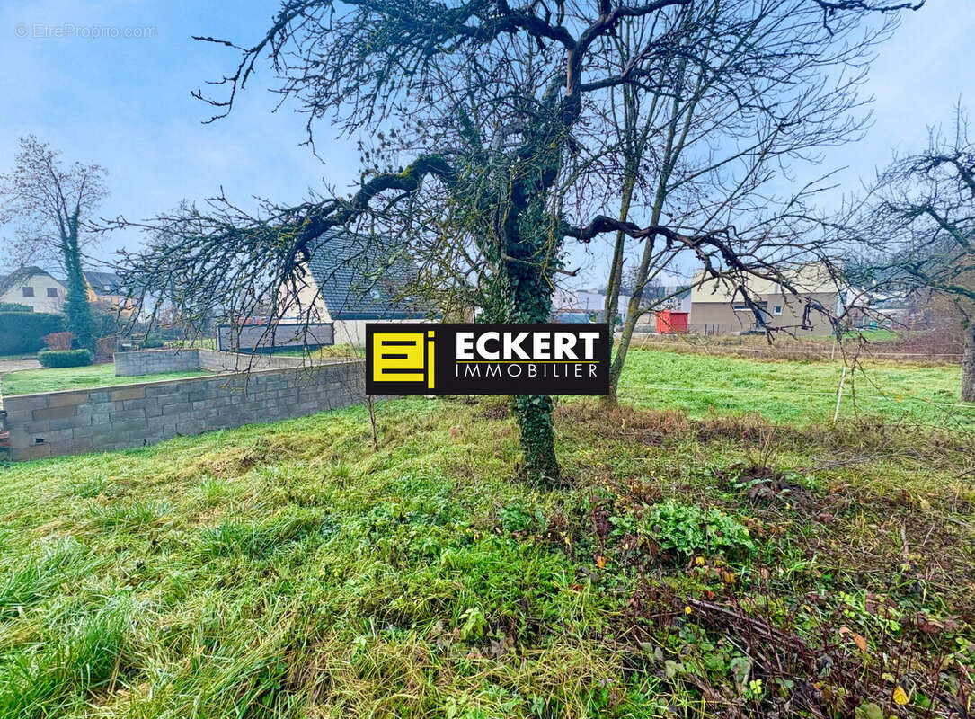 Terrain à DINSHEIM-SUR-BRUCHE