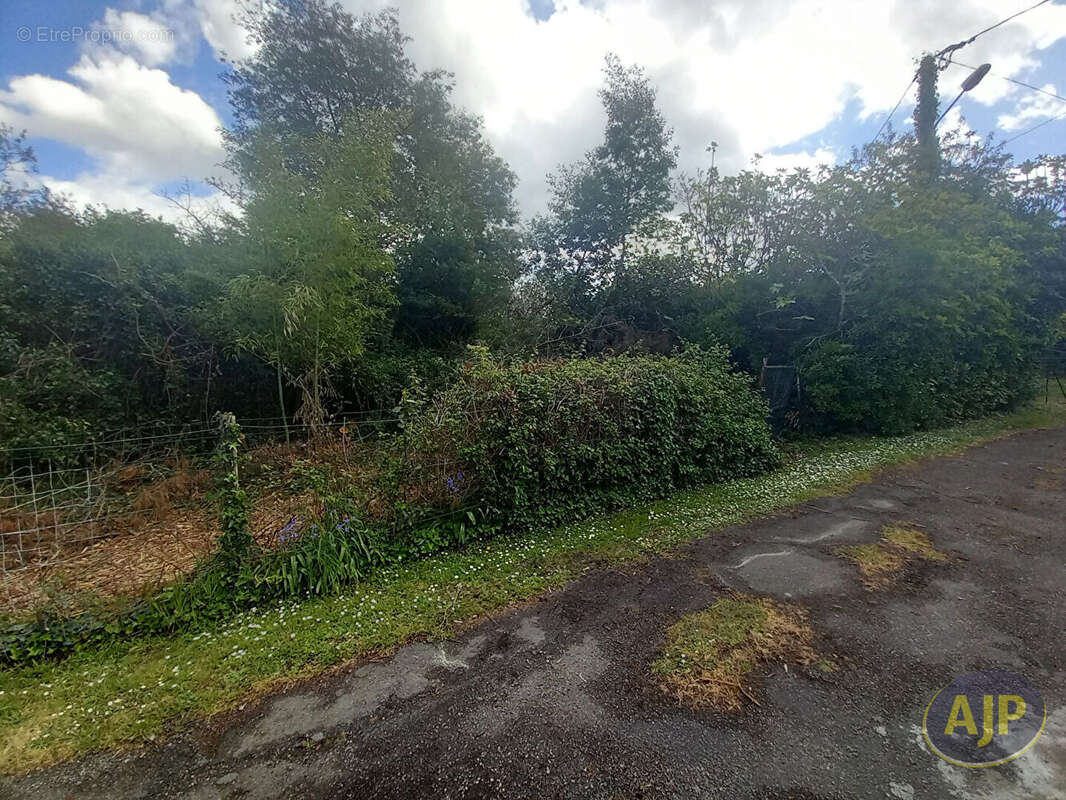 Terrain à SAINT-GERMAIN-D&#039;ESTEUIL