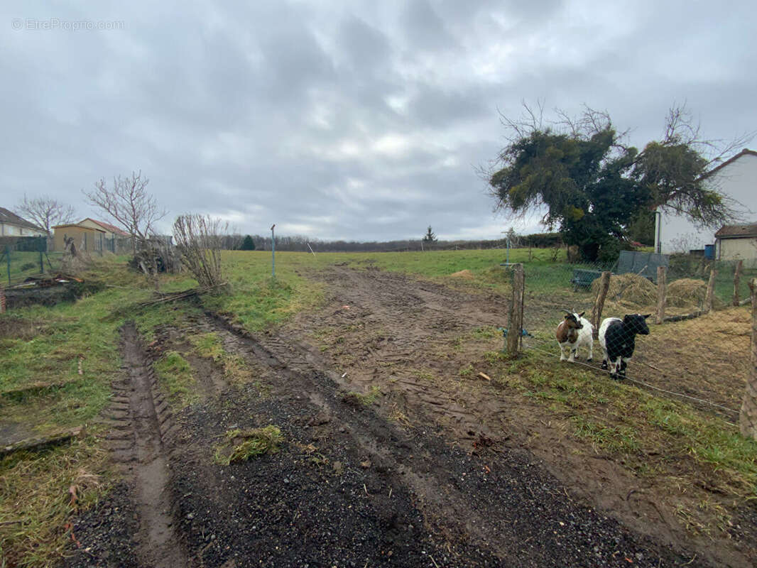 Terrain à SAINT-JULIEN-SUR-DHEUNE