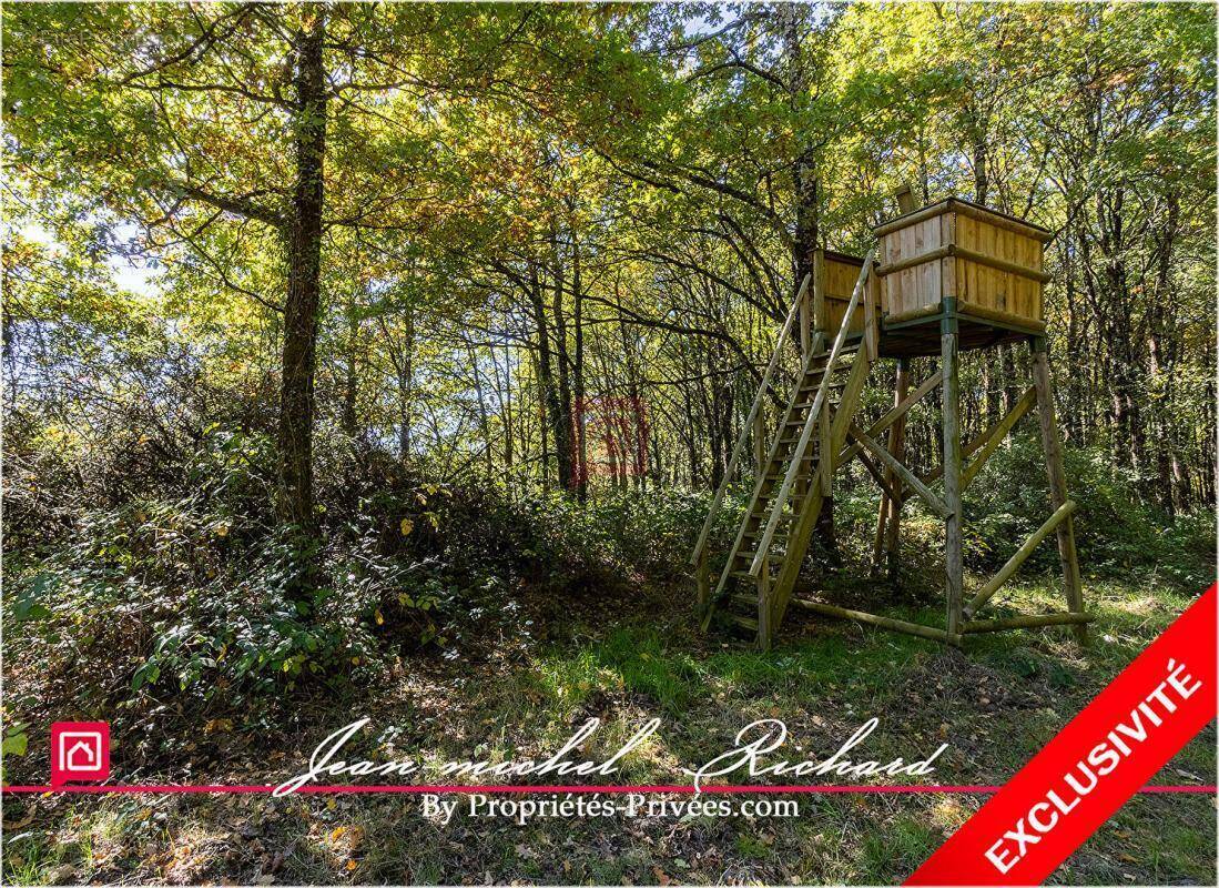 Terrain à COURMEMIN