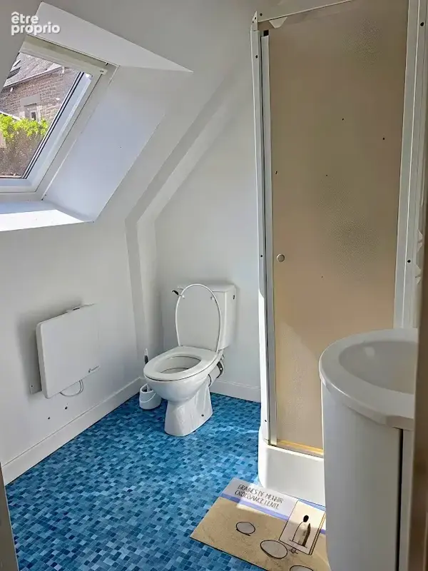 Rare sur le marché   Ensemble immobilier de caractère au cœur de Saint-Nicolas-du-Pélem (22480) - photo 20
