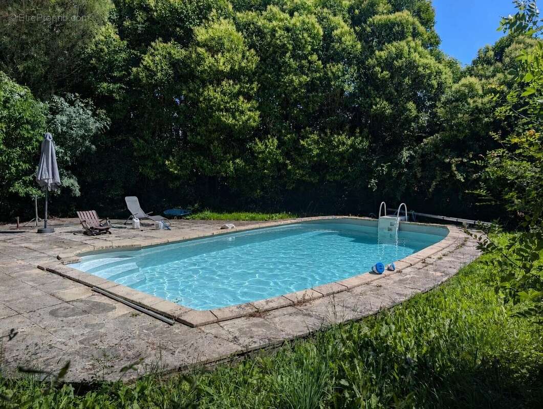 Belle maison en pierre avec gites et piscine - photo 4
