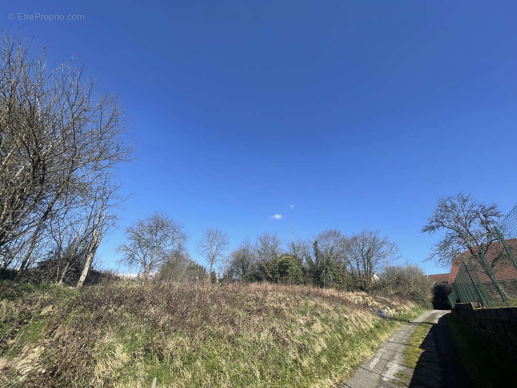 Terrain à ADELANS-ET-LE-VAL-DE-BITHAINE