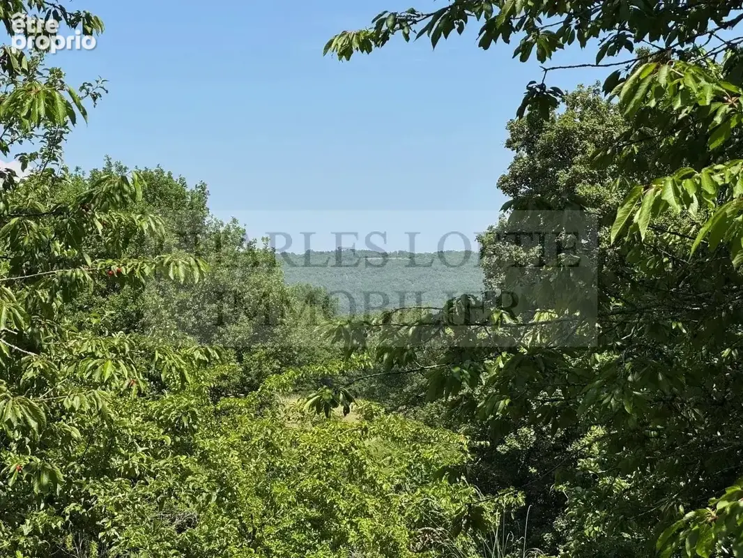 Charmante maison de village en pierre avec terrain arboré de 2400 m² - photo 5
