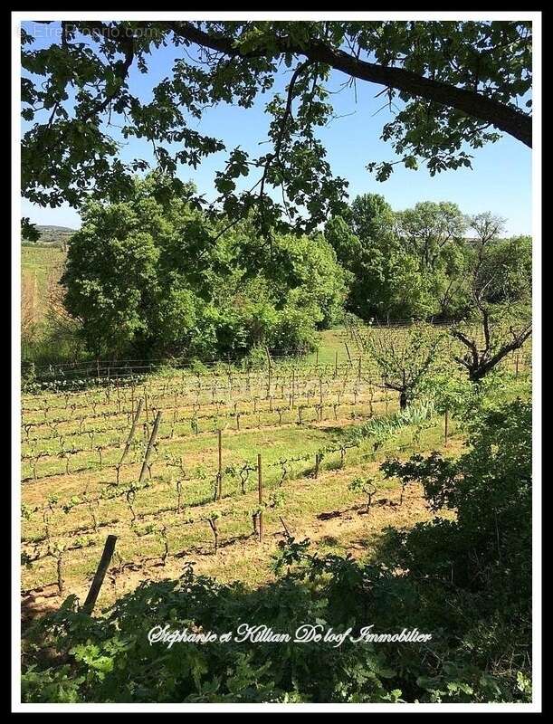 Terrain à ALIGNAN-DU-VENT