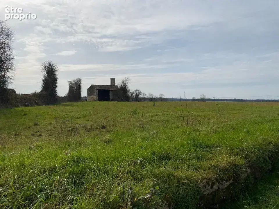 Terrain 753 m² à vendre à Plassay (17250) - photo 2
