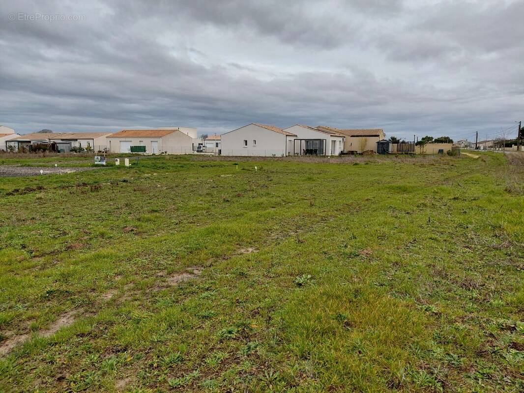 Terrain à PORT-DES-BARQUES