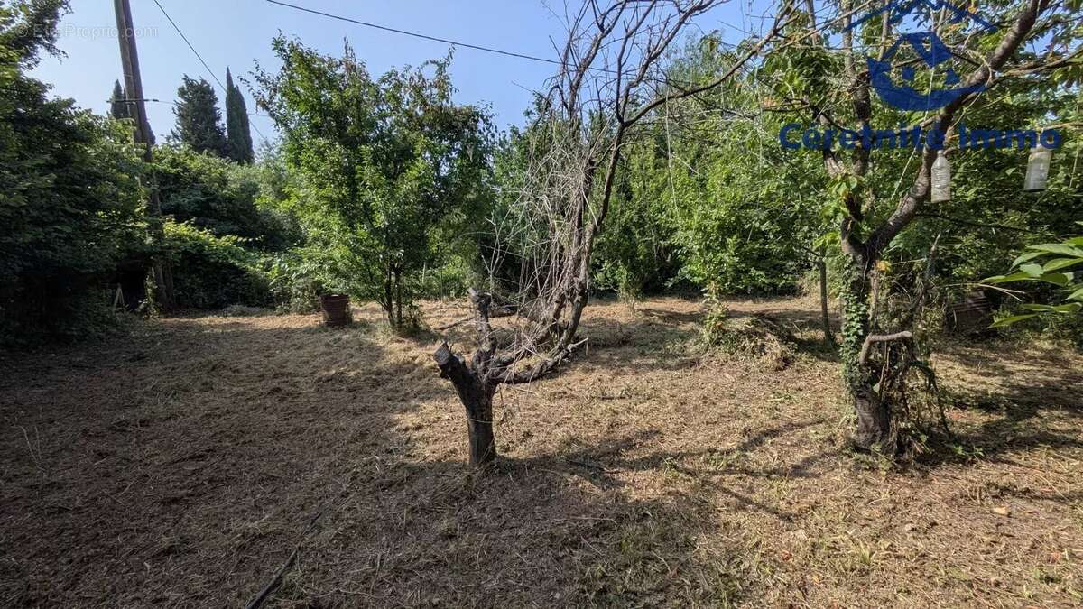 Terrain à CERET