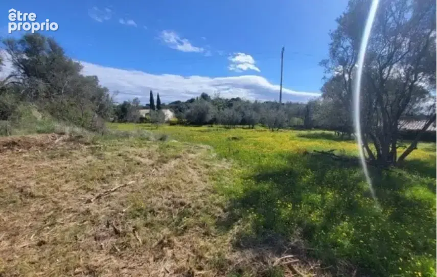 Terrain à MONTFRIN