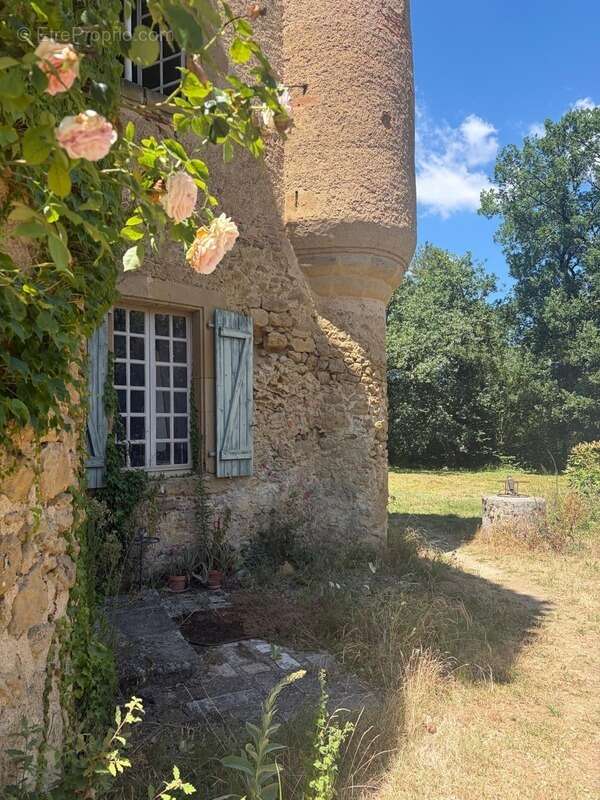 MARCIAC(32): ancienne SEIGNEURIE avec BEAU CHATEAU XIV sur 3,5ha, cachée, au bout du chemin, sans voisin, en campagne, 500m2 hab - photo 59
