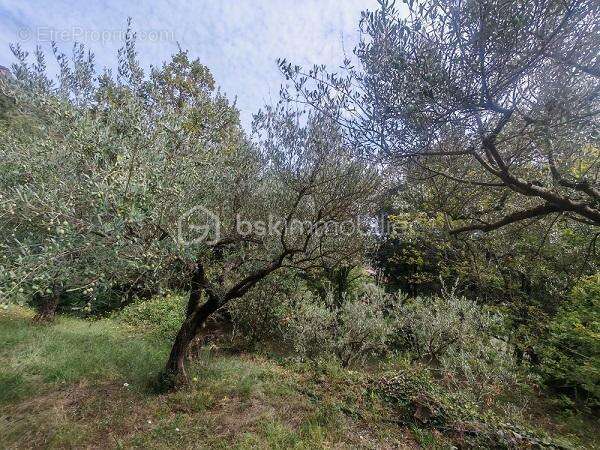 Maison à SAINT-JEAN-DU-GARD