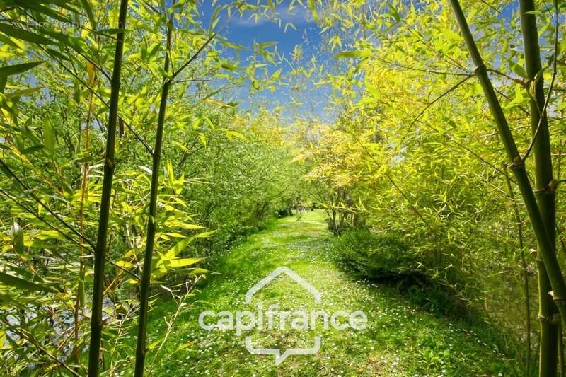 Proche SAINT-QUENTIN (02) : terrain de loisir 3200 m² au bord de l’Oise avec Chalet et potentiel locatif - photo 2