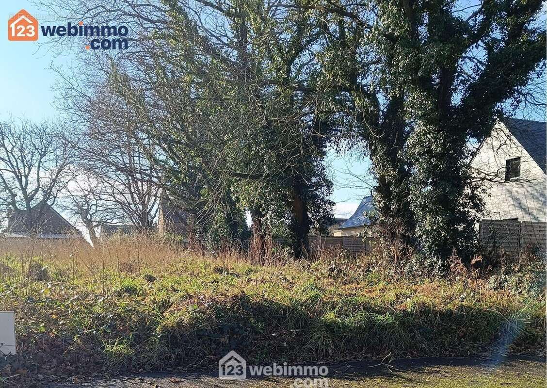 Terrain 503 m² à Cavan  - photo 20