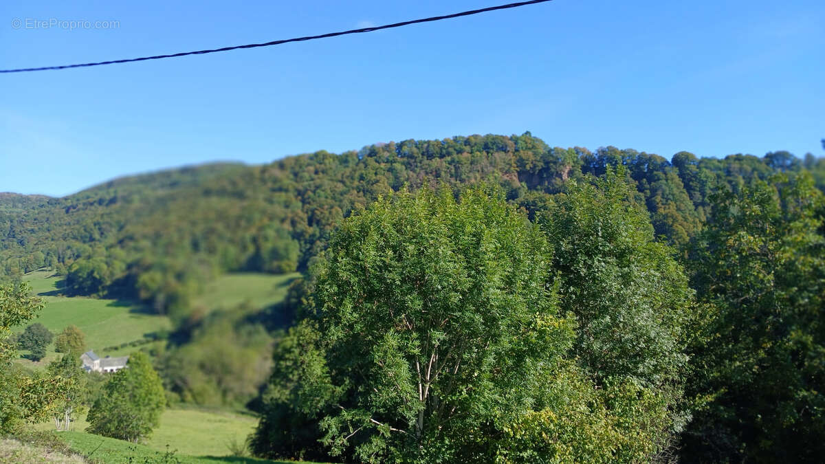 Maison à SAINT-PAUL-DE-SALERS