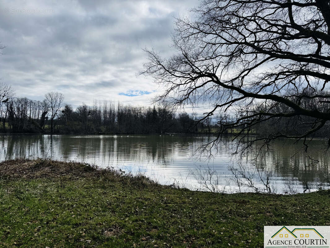 Terrain à LA CHAUX-EN-BRESSE