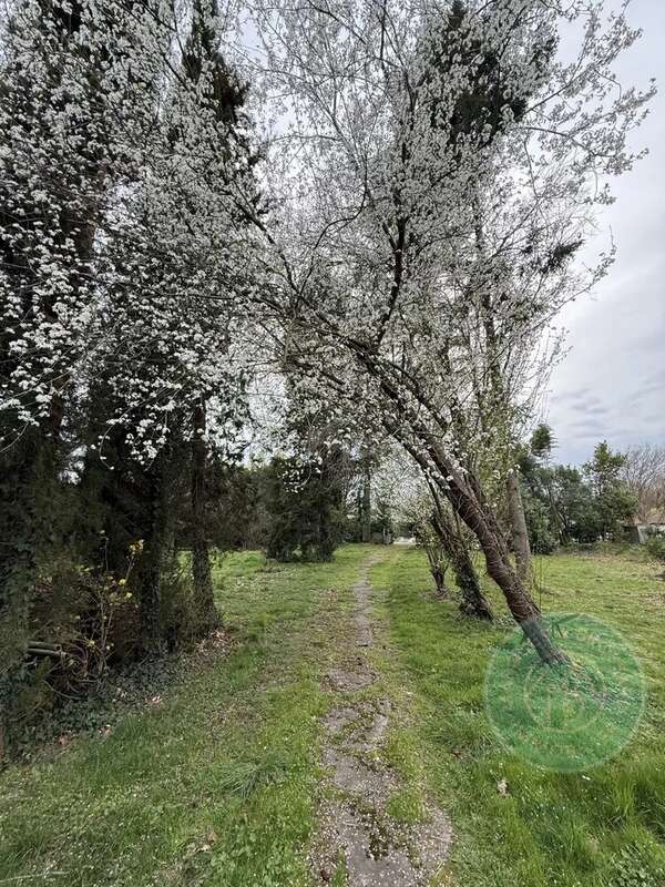 Maison de maître avec dépendance et terrain - photo 14