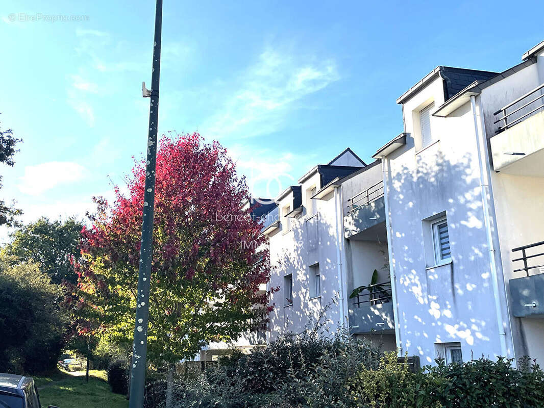 Appartement à SENE