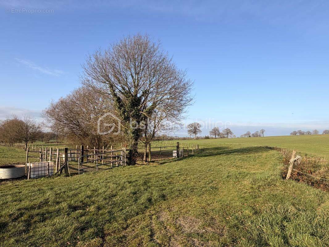 Maison à SAINT-PIERRE-LA-COUR