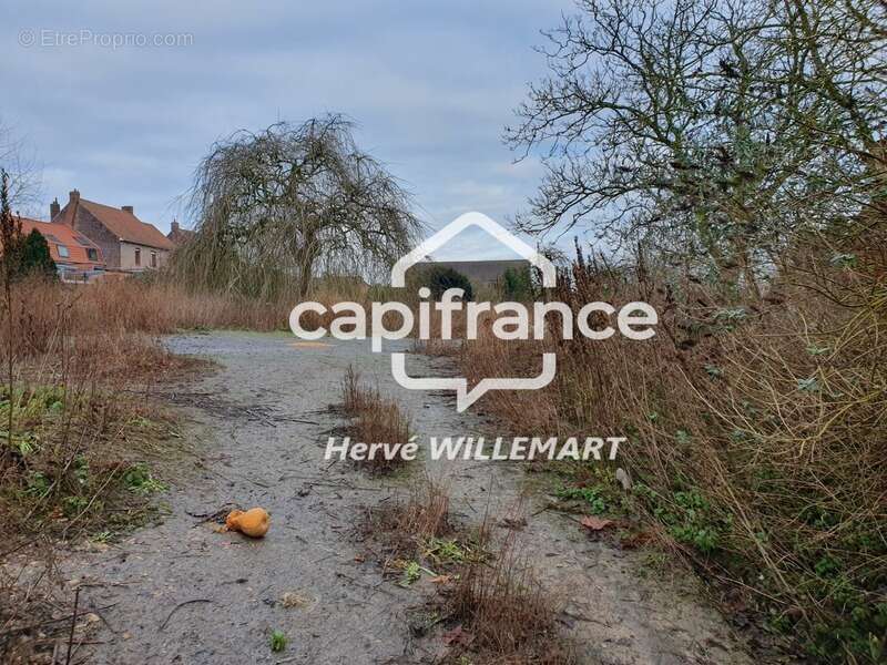 Terrain à BOESCHEPE